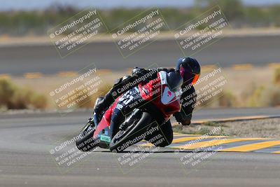 media/Oct-08-2022-SoCal Trackdays (Sat) [[1fc3beec89]]/Turn 14 (1050am)/